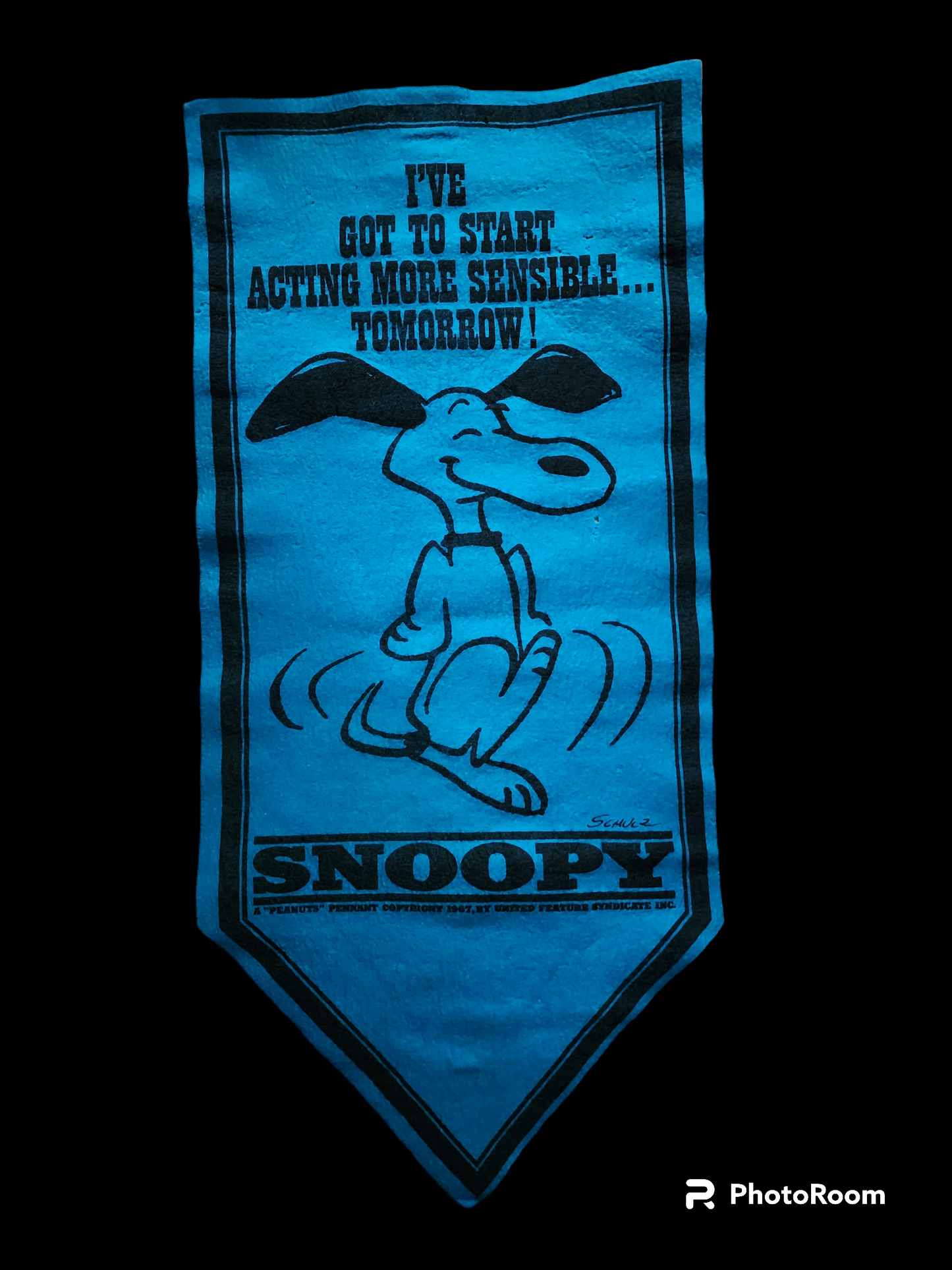 Vintage 1967 Snoopy Pennant